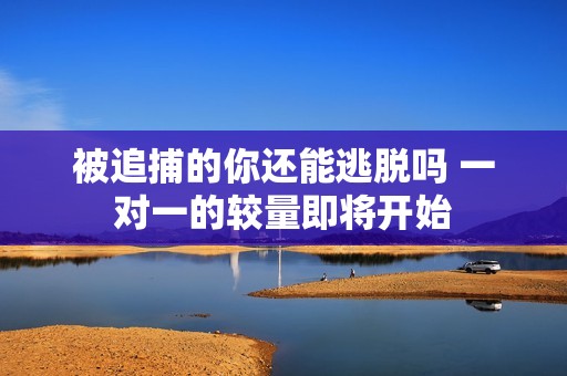 被追捕的你还能逃脱吗 一对一的较量即将开始
