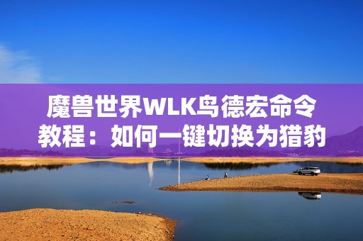 魔兽世界WLK鸟德宏命令教程：如何一键切换为猎豹形态