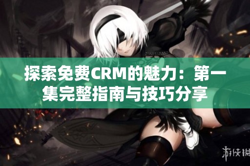 探索免费CRM的魅力：第一集完整指南与技巧分享