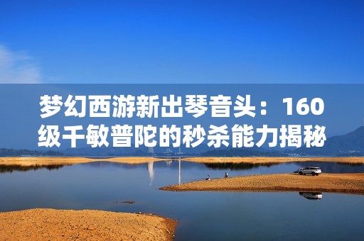 梦幻西游新出琴音头：160级千敏普陀的秒杀能力揭秘