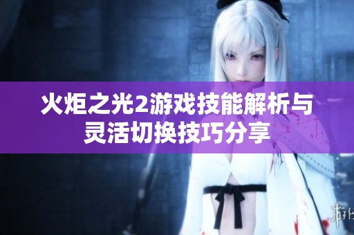 火炬之光2游戏技能解析与灵活切换技巧分享