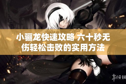 小骊龙快速攻略 六十秒无伤轻松击败的实用方法