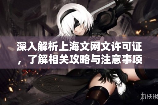深入解析上海文网文许可证，了解相关攻略与注意事项