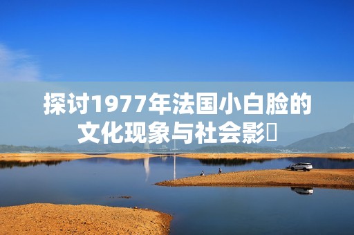 探讨1977年法国小白脸的文化现象与社会影響