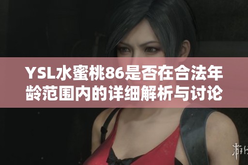 YSL水蜜桃86是否在合法年龄范围内的详细解析与讨论