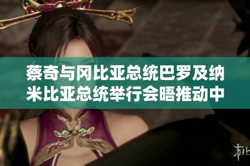 蔡奇与冈比亚总统巴罗及纳米比亚总统举行会晤推动中非合作发展