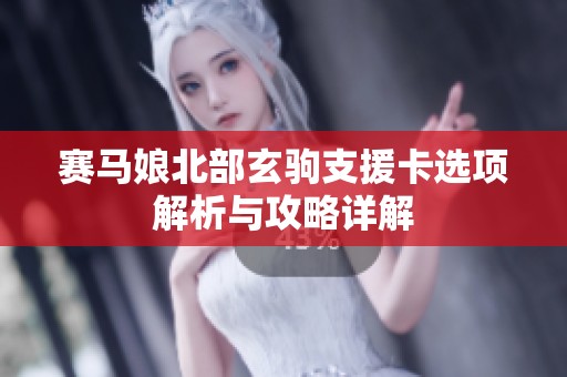赛马娘北部玄驹支援卡选项解析与攻略详解