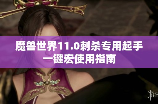 魔兽世界11.0刺杀专用起手一键宏使用指南