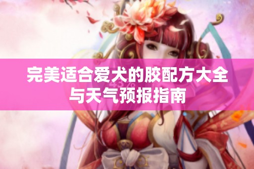 完美适合爱犬的胶配方大全与天气预报指南