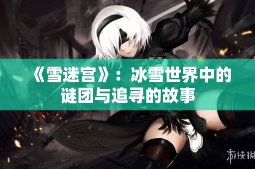 《雪迷宫》：冰雪世界中的谜团与追寻的故事