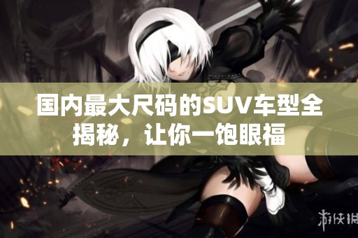 国内最大尺码的SUV车型全揭秘，让你一饱眼福