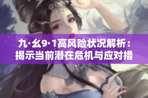 九·幺9·1高风险状况解析：揭示当前潜在危机与应对措施