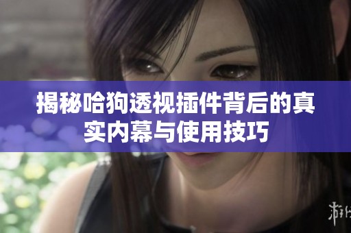 揭秘哈狗透视插件背后的真实内幕与使用技巧