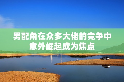 男配角在众多大佬的竞争中意外崛起成为焦点