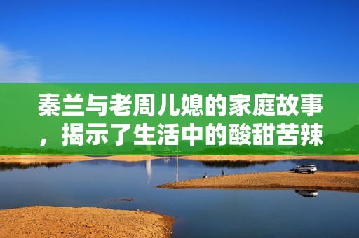 秦兰与老周儿媳的家庭故事，揭示了生活中的酸甜苦辣