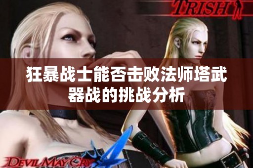 狂暴战士能否击败法师塔武器战的挑战分析