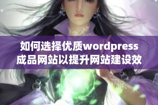 如何选择优质wordpress成品网站以提升网站建设效率