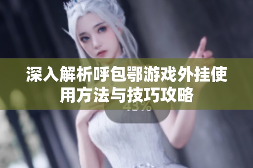 深入解析呼包鄂游戏外挂使用方法与技巧攻略