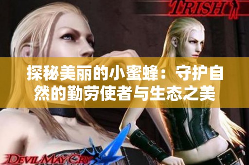 探秘美丽的小蜜蜂：守护自然的勤劳使者与生态之美
