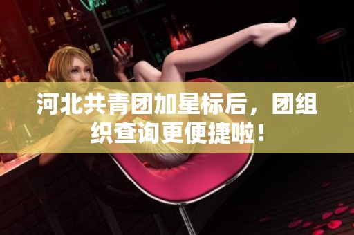 河北共青团加星标后，团组织查询更便捷啦！