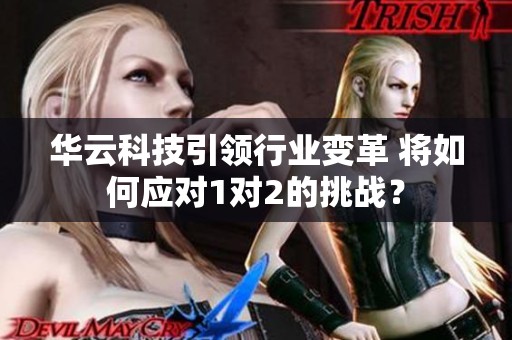 华云科技引领行业变革 将如何应对1对2的挑战？