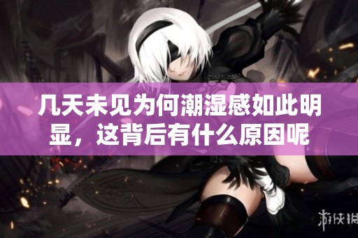 几天未见为何潮湿感如此明显，这背后有什么原因呢