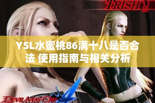 YSL水蜜桃86满十八是否合法 使用指南与相关分析