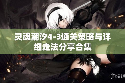 灵魂潮汐4-3通关策略与详细走法分享合集