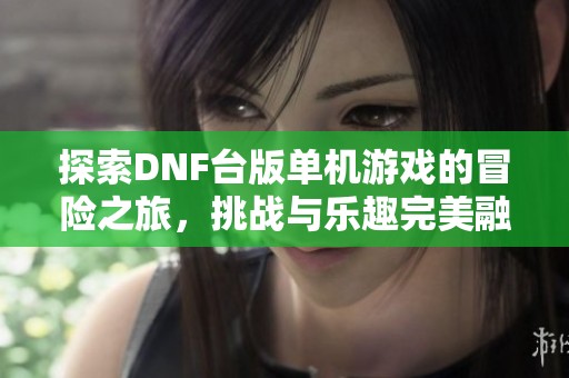 探索DNF台版单机游戏的冒险之旅，挑战与乐趣完美融合