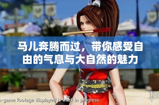 马儿奔腾而过，带你感受自由的气息与大自然的魅力