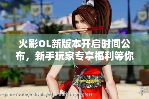 火影OL新版本开启时间公布，新手玩家专享福利等你来领!