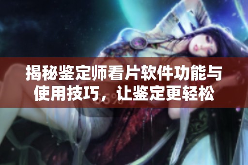 揭秘鉴定师看片软件功能与使用技巧，让鉴定更轻松