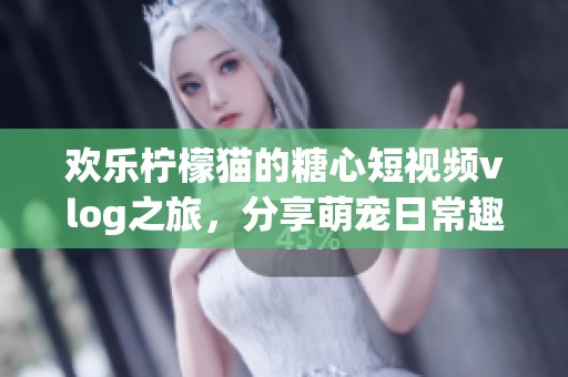 欢乐柠檬猫的糖心短视频vlog之旅，分享萌宠日常趣事