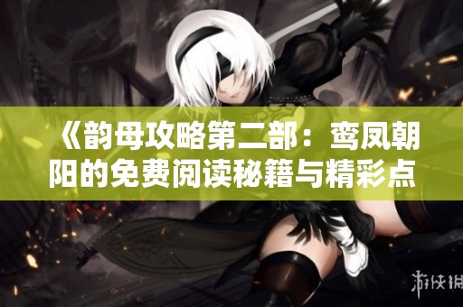 《韵母攻略第二部：鸾凤朝阳的免费阅读秘籍与精彩点评》