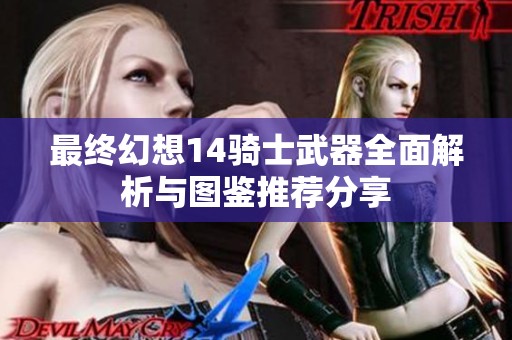 最终幻想14骑士武器全面解析与图鉴推荐分享