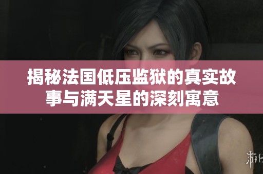 揭秘法国低压监狱的真实故事与满天星的深刻寓意