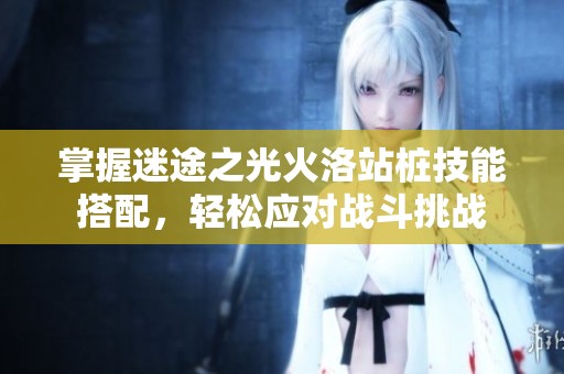 掌握迷途之光火洛站桩技能搭配，轻松应对战斗挑战