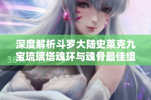 深度解析斗罗大陆史莱克九宝琉璃塔魂环与魂骨最佳组合策略
