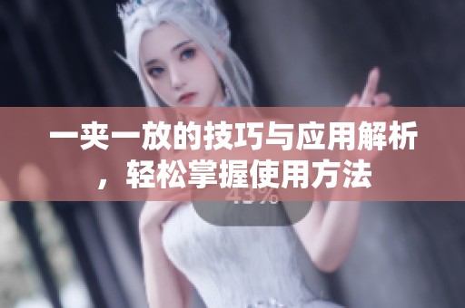 一夹一放的技巧与应用解析，轻松掌握使用方法