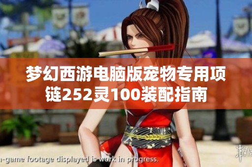 梦幻西游电脑版宠物专用项链252灵100装配指南