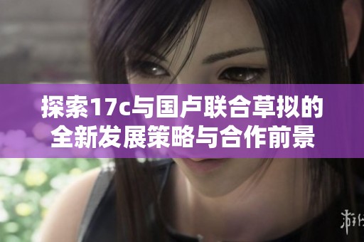 探索17c与国卢联合草拟的全新发展策略与合作前景