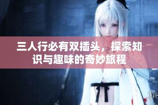 三人行必有双插头，探索知识与趣味的奇妙旅程