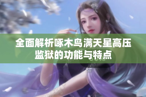 全面解析啄木鸟满天星高压监狱的功能与特点