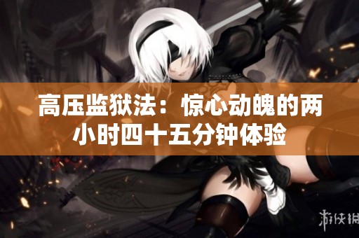 高压监狱法：惊心动魄的两小时四十五分钟体验