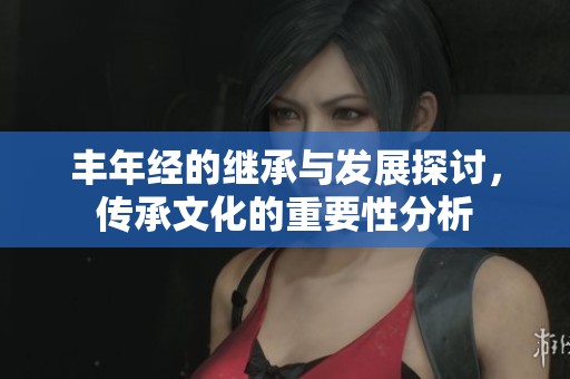 丰年经的继承与发展探讨，传承文化的重要性分析