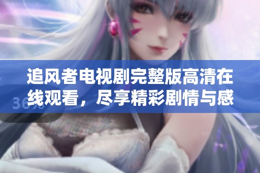 追风者电视剧完整版高清在线观看，尽享精彩剧情与感人热血