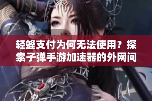 轻蜂支付为何无法使用？探索子弹手游加速器的外网问题解读