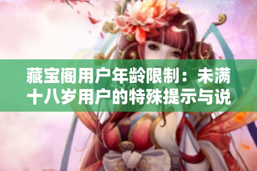 藏宝阁用户年龄限制：未满十八岁用户的特殊提示与说明