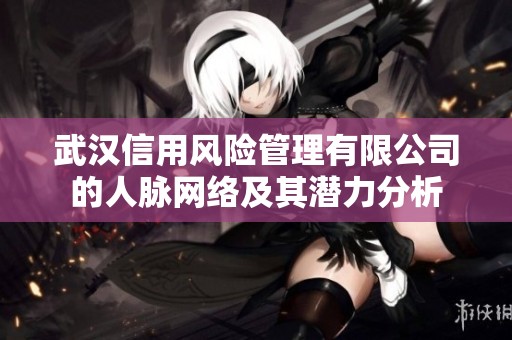 武汉信用风险管理有限公司的人脉网络及其潜力分析