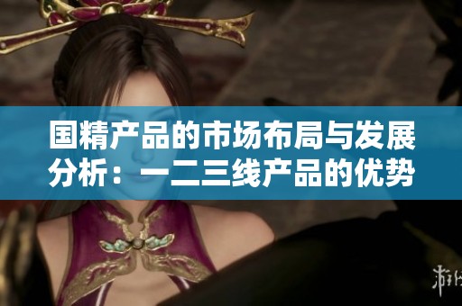 国精产品的市场布局与发展分析：一二三线产品的优势与挑战